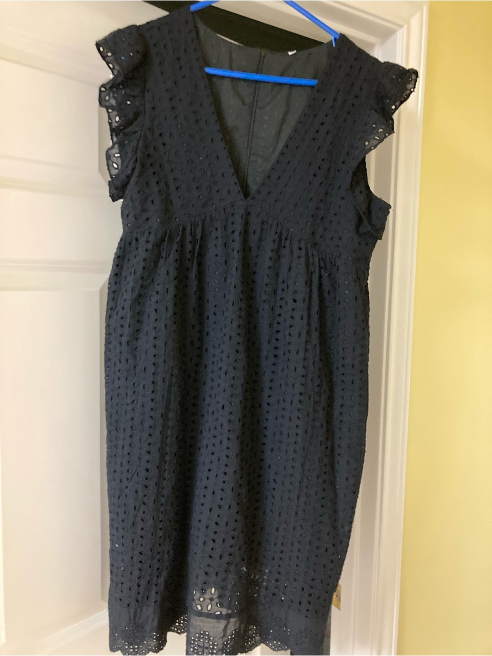 Black Eyelet V-Neck Mini Dress with Flutter Sleeves